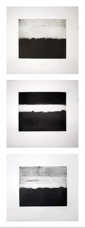 Serigrafía Andoe - Three Landscapes 