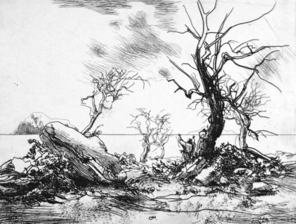 Aguafuerte Annigoni - Paesaggio