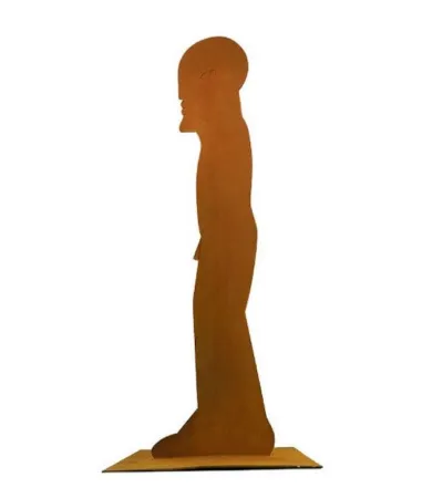 Sin Técnico Antes - Figur 1000