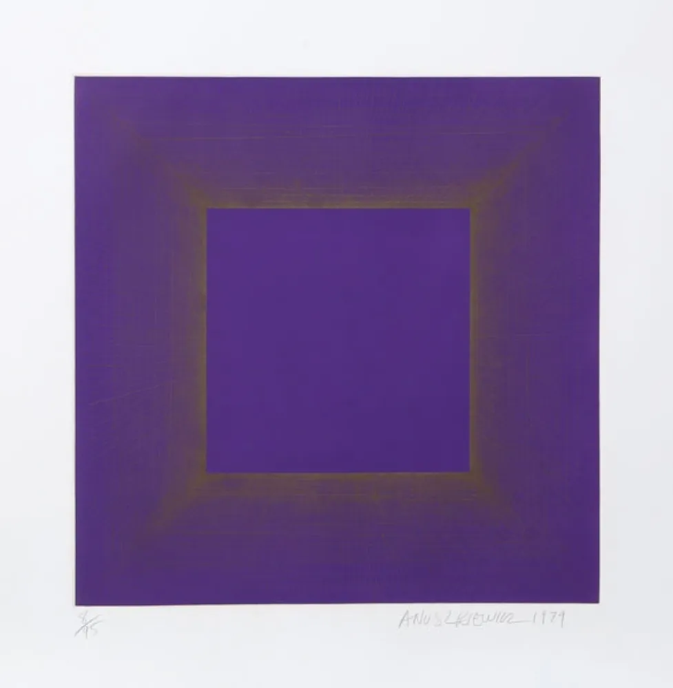 Aguatinta Anuszkiewicz - Midnight Suite (Purple with Silver)