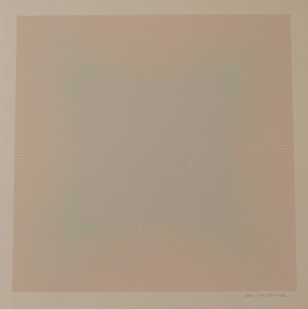 Litografía Anuszkiewicz - SOFT, PALE GRAY - EXACTA FROM CONSTRUCTIVISM TO SYSTEMATIC ART 1918-1985