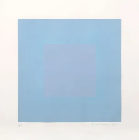 Aguatinta Anuszkiewicz - Winter Suite (Light Blue with Light Blue)
