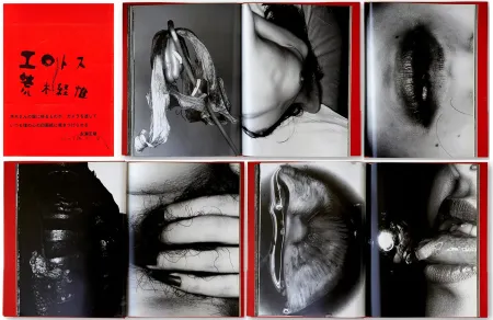 Libro Ilustrado Araki - EROTOS (1993)