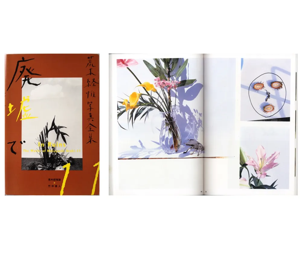 Fotografía Araki - The Works of Nobuyoshi Araki - n° 11. IN RUINS