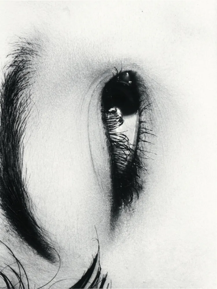 Múltiple Araki - Untitle from Erotos