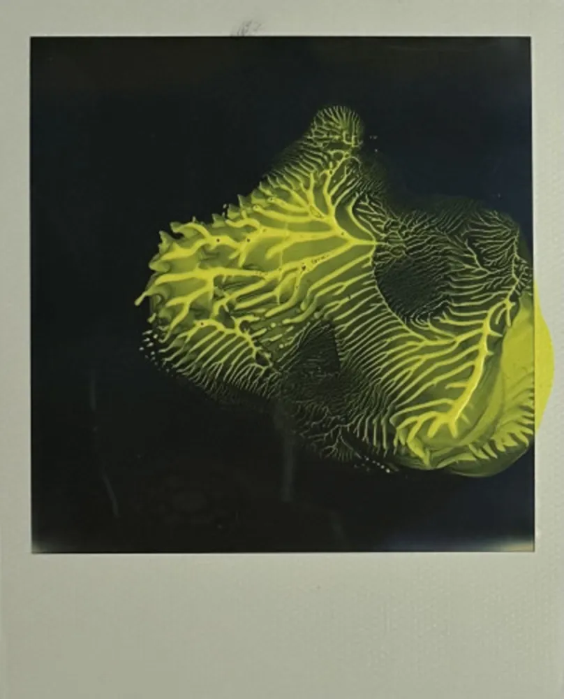 Múltiple Araki - Untitled 6