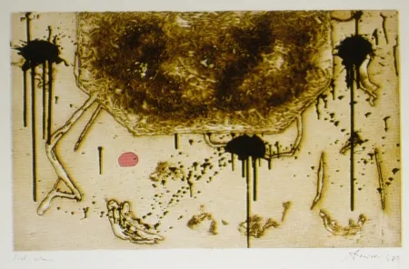 Aguafuerte Y Aguatinta Argimon - Forma bistre