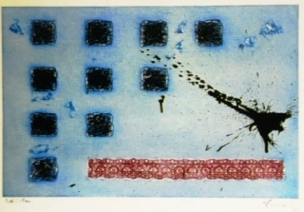 Aguafuerte Y Aguatinta Argimon - Randa rosa