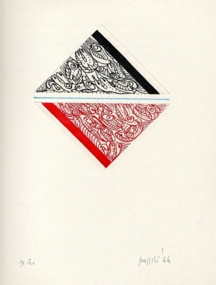 Libro Ilustrado Aricò - Controcanto con la neve e un viaggio