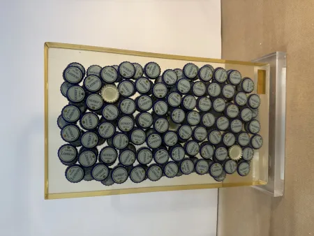 Sin Técnico Arman - Bon santé V, 1996 