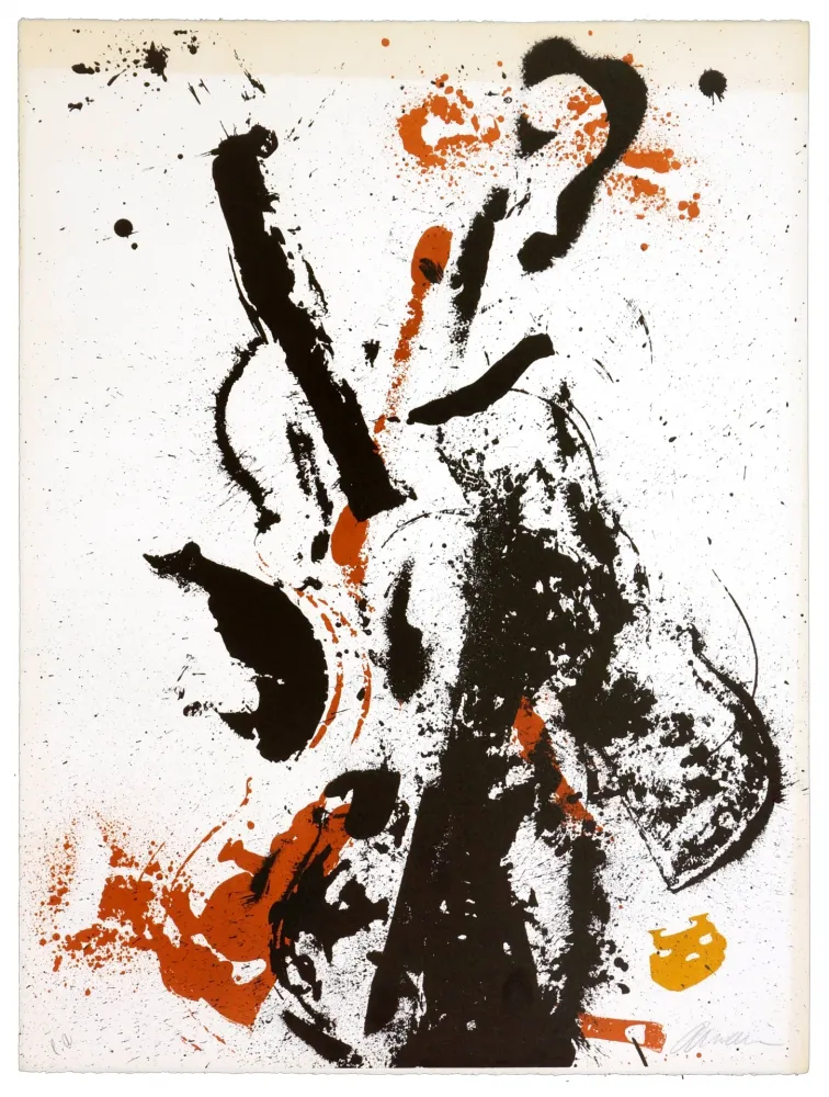 Litografía Arman - Eclipse d'éclipses