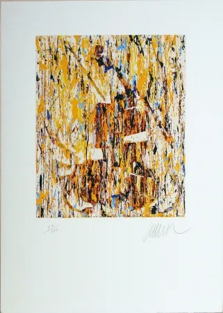 Serigrafía Arman - VIOLINO