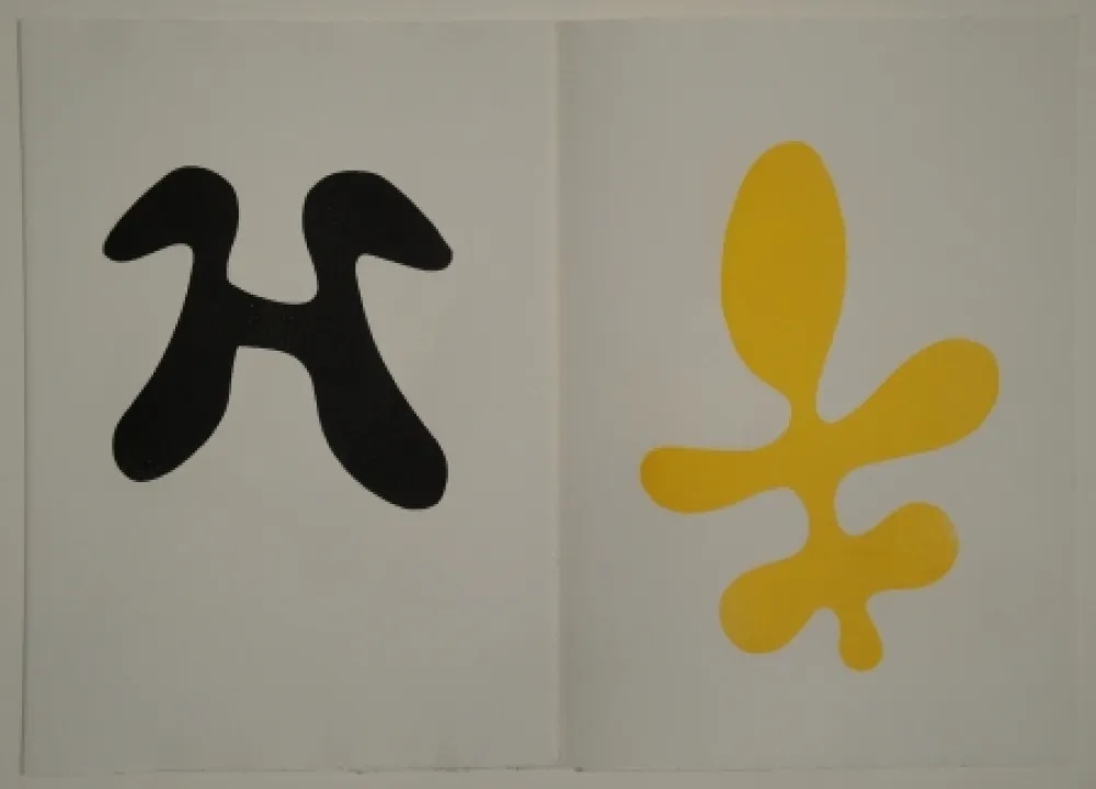 Libro Ilustrado Arp - Elemente