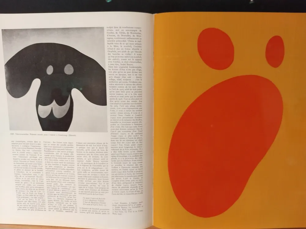 Libro Ilustrado Arp - Xxe No 11