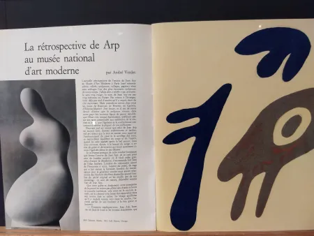 Libro Ilustrado Arp - Xxe No 19
