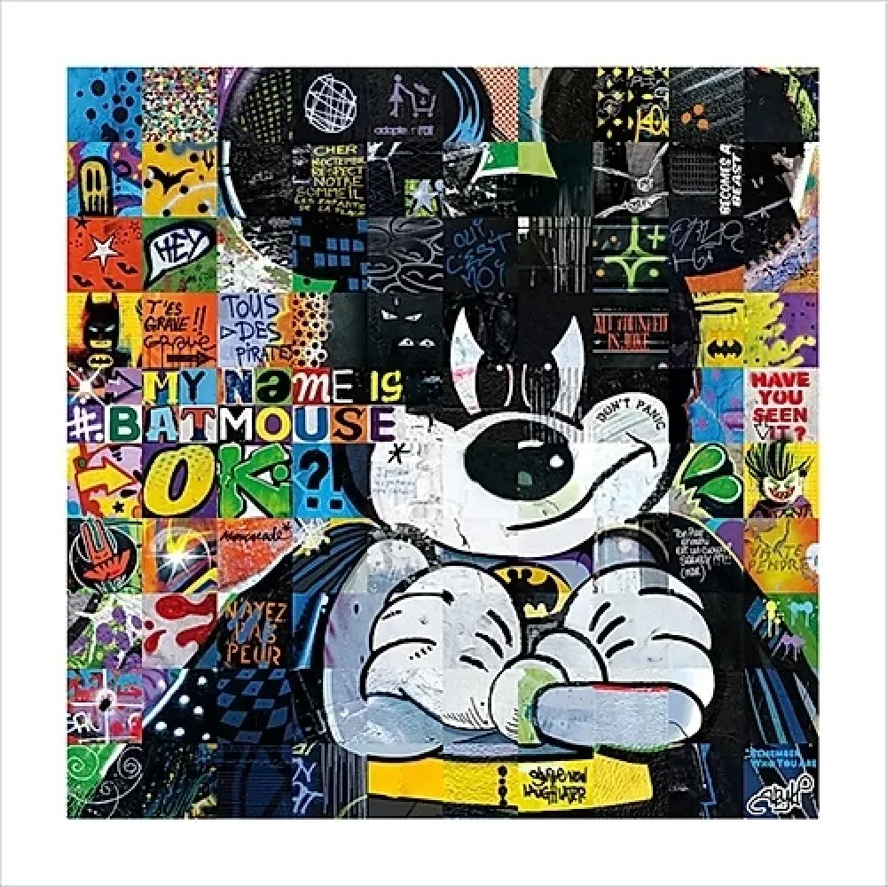 Cartel Ary Kp - My Name is Batmouse !