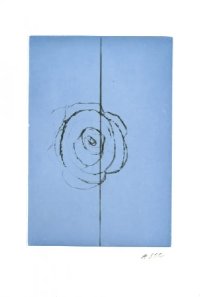 Aguafuerte Y Aguatinta Asse - La fabrique des fleurs