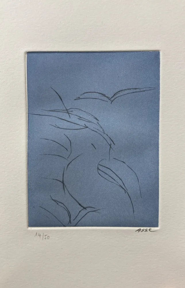 Libro Ilustrado Asse - Notes sur Thème. 9 pointes sèches. 