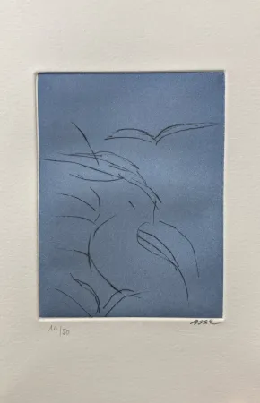 Libro Ilustrado Asse - Notes sur Thème. 9 pointes sèches. 