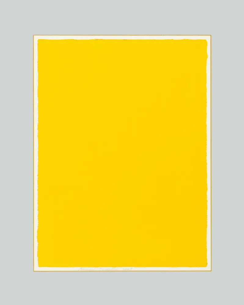 Sin Técnico Aubertin - Monocromo giallo