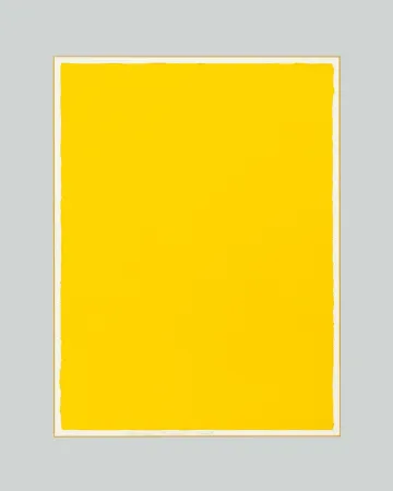 Sin Técnico Aubertin - Monocromo giallo