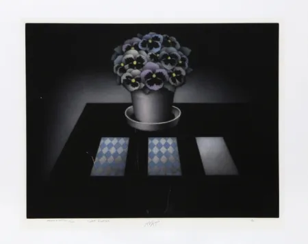 Manera Negra Avati - Carte Blanche