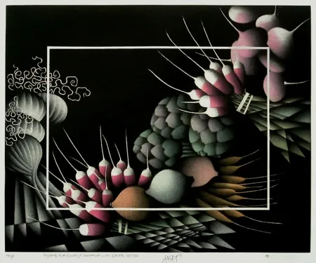 Manera Negra Avati - Discours d'un Ecologiste Provencal a une Bergere Celtique