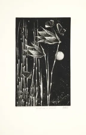 Aguatinta Avati - Les papillons de Nagasaki