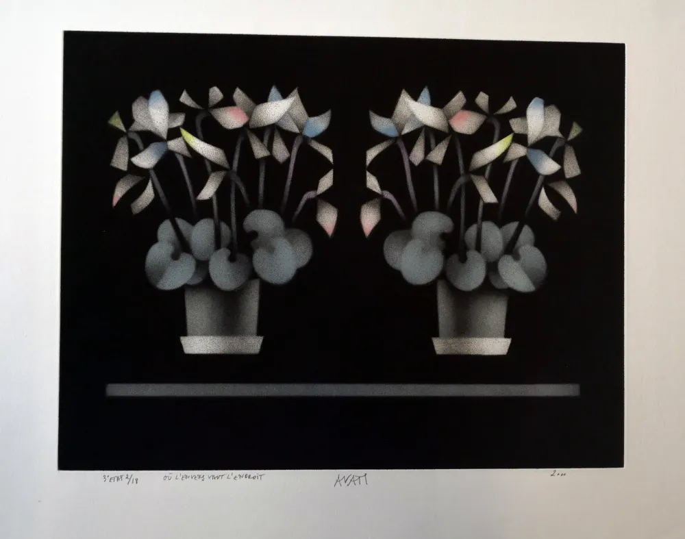 Manera Negra Avati - Ou l'enverse vaut l'endroit