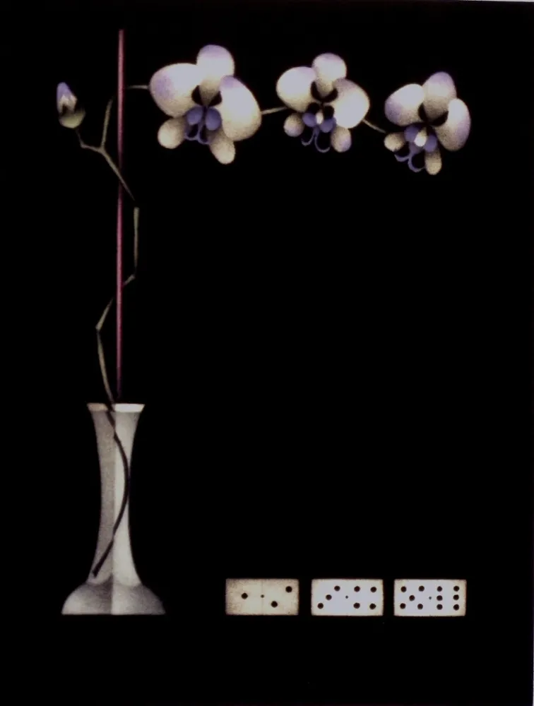 Manera Negra Avati - Une théorie de dominos