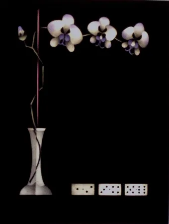 Manera Negra Avati - Une théorie de dominos