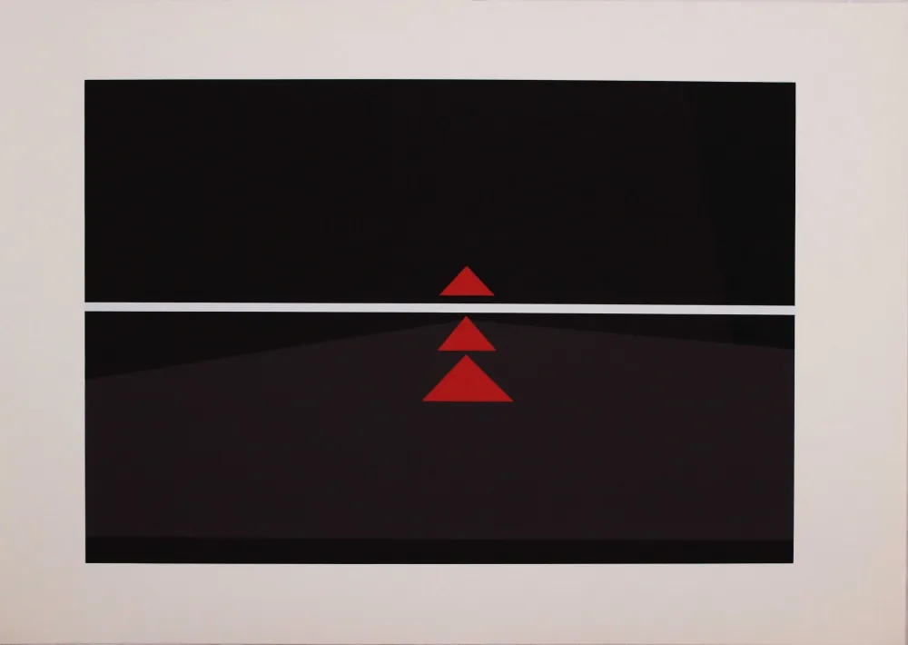 Serigrafía Badiali - Sei fasi progressive di verticalità elastica