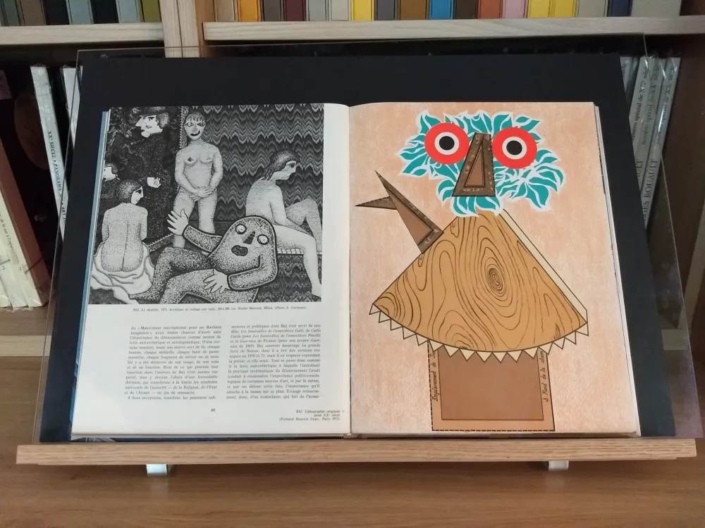 Libro Ilustrado Baj - No 44