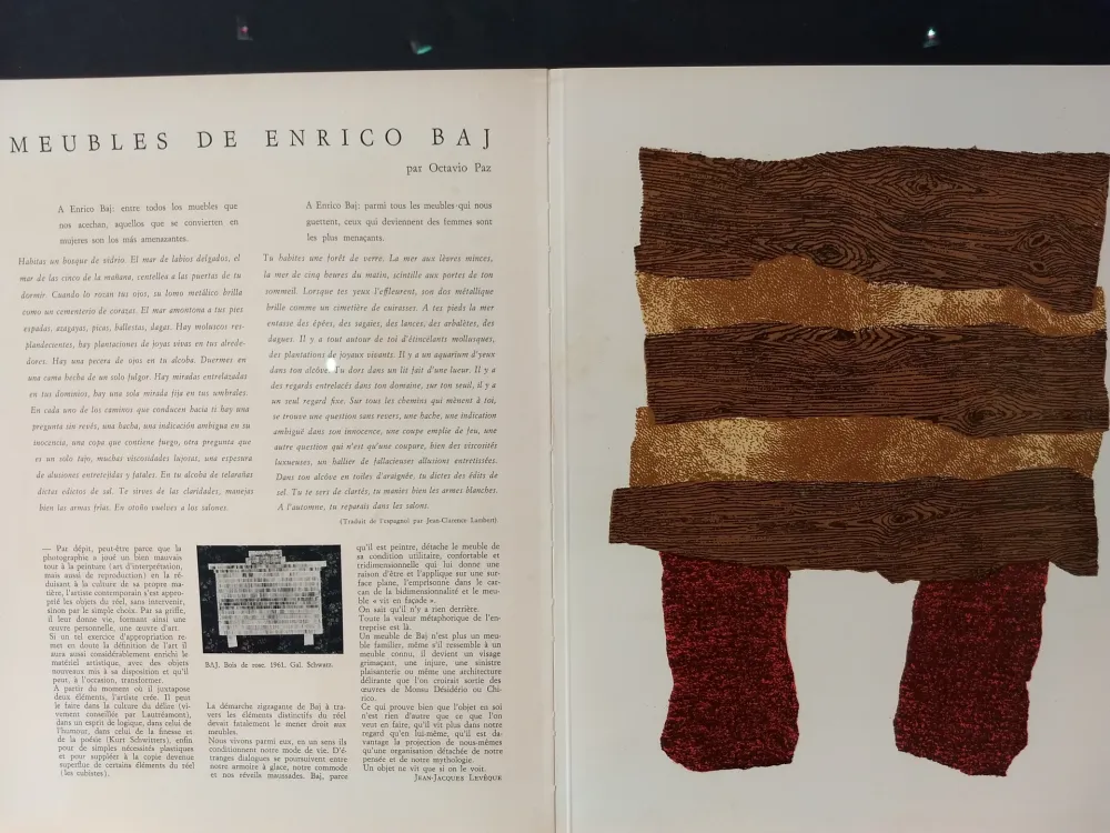 Libro Ilustrado Baj - Xxe No 20