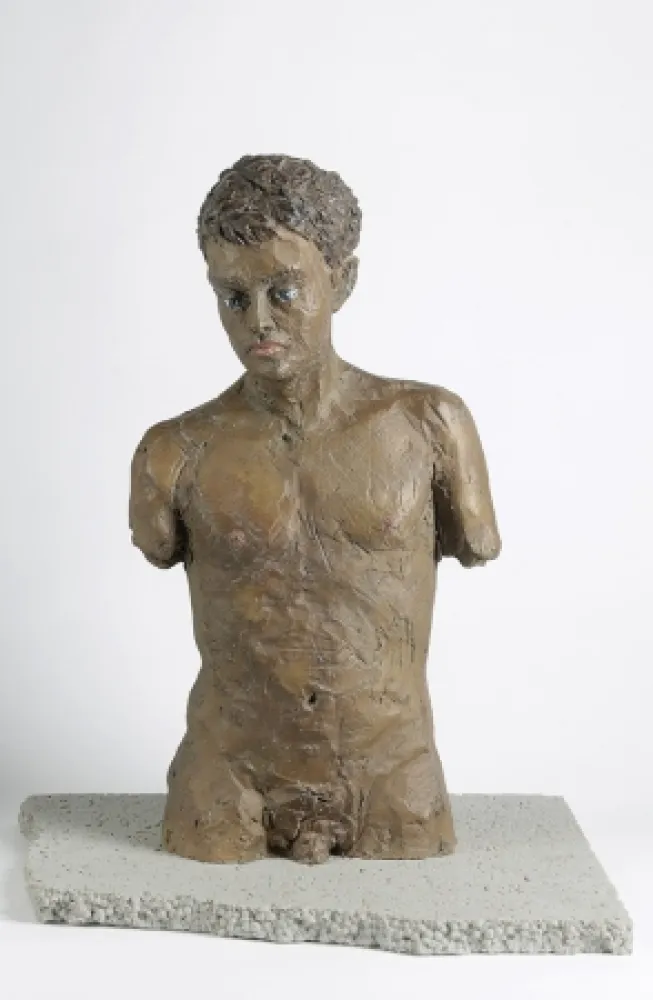 Múltiple Balkenhol - Male torso