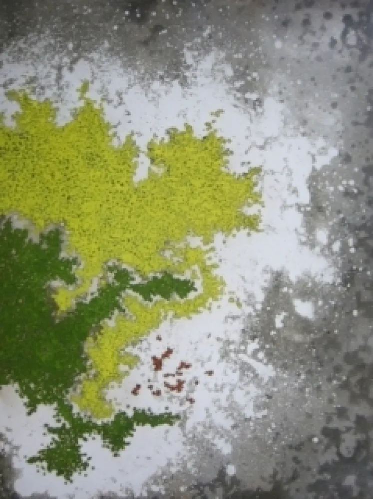 Grabado Ballif - LeVenez