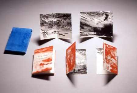 Litografía Baltazar - Je te salue démente!