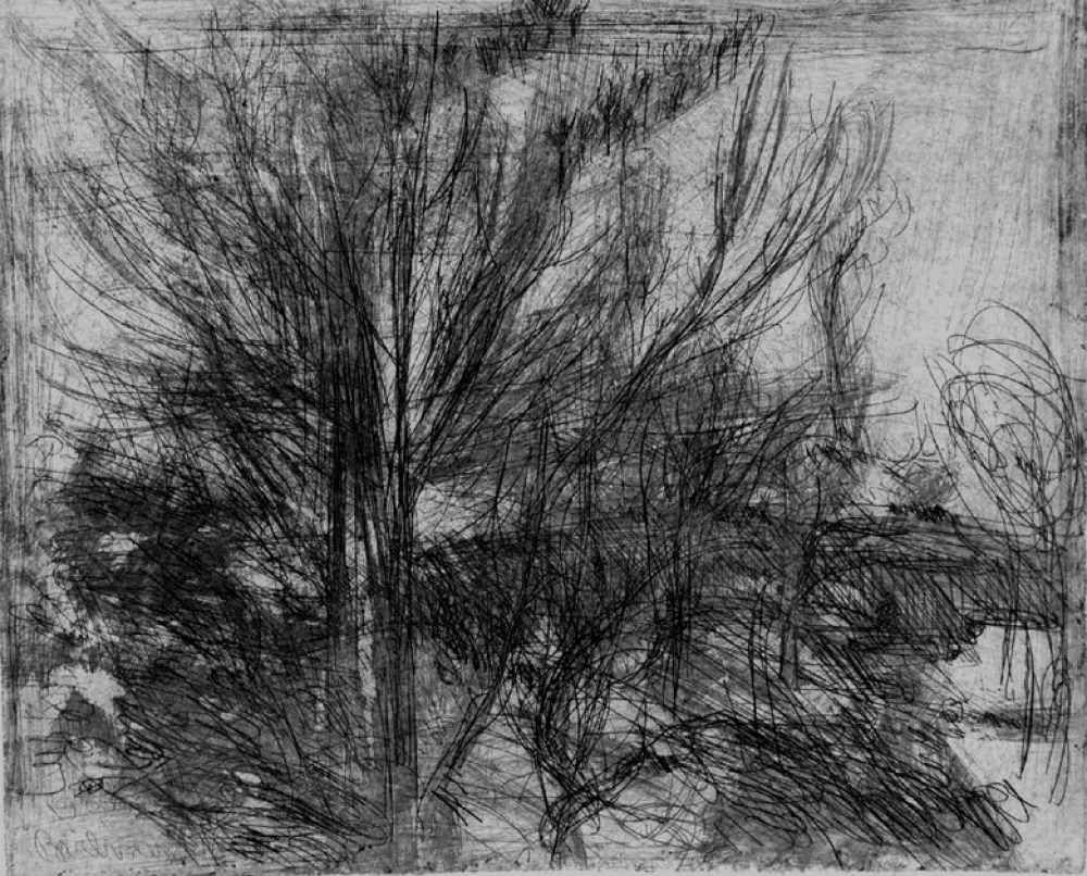 Aguafuerte Barbisan - Alberi