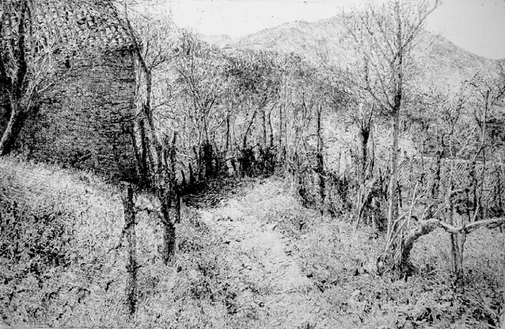 Aguafuerte Barbisan - Paesaggio in collina