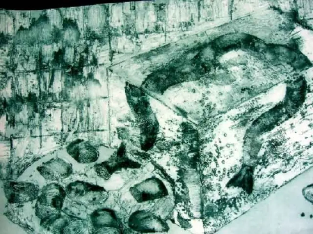 Carborundo Barcelo - ANGUILAS