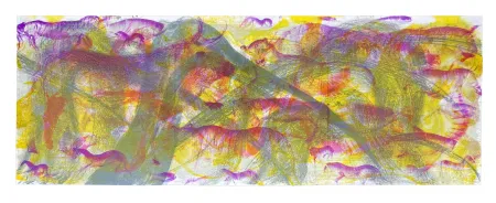 Litografía Barcelo - Ibis