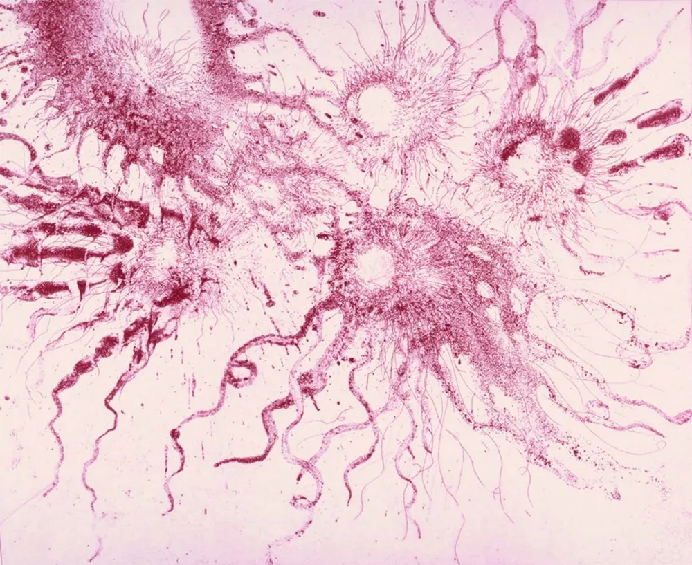 Aguafuerte Y Aguatinta Barcelo - Lanzarote 20