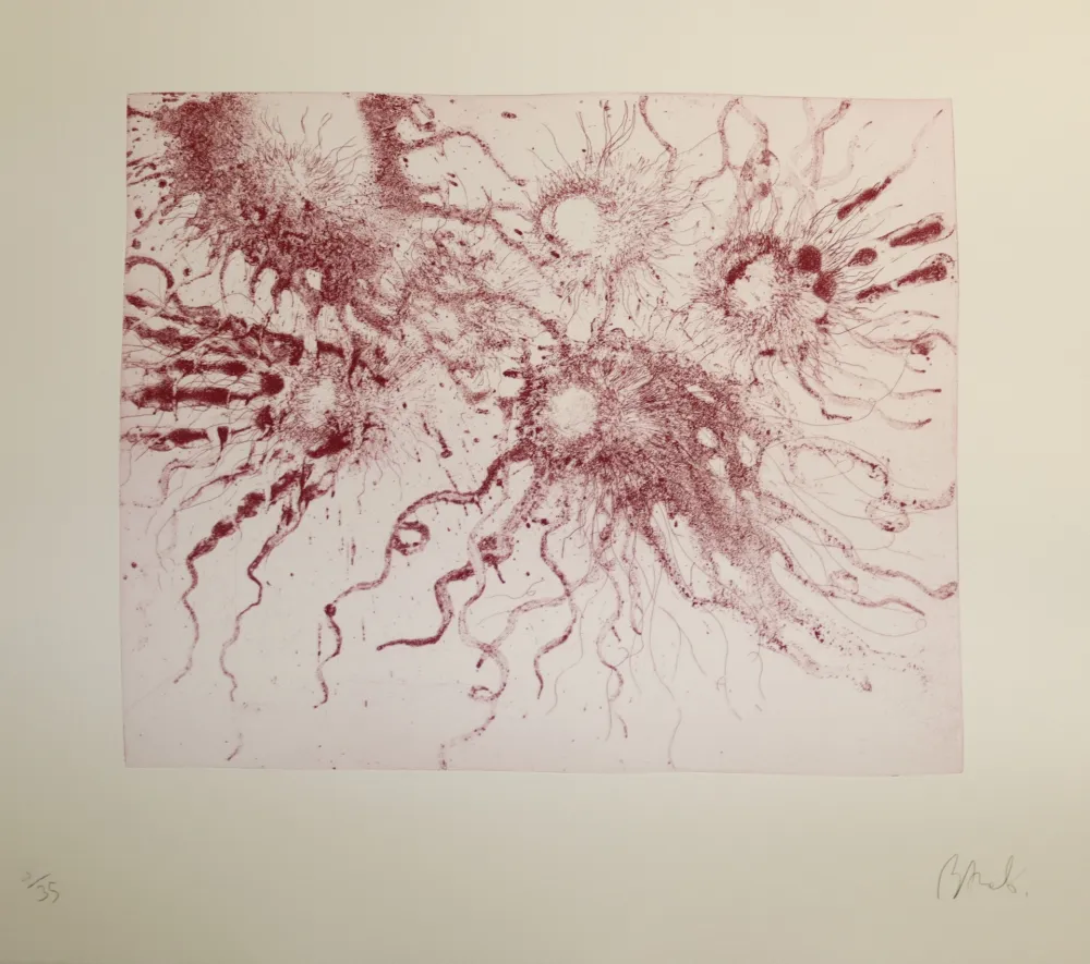 Aguafuerte Y Aguatinta Barcelo - Lanzarote 20