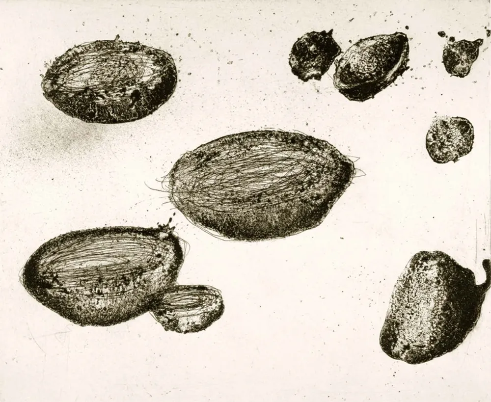 Aguafuerte Y Aguatinta Barcelo - Lanzarote 22