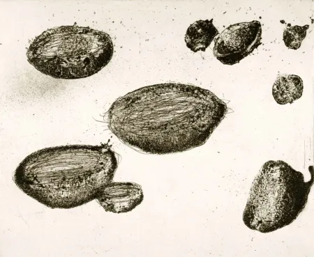 Aguafuerte Y Aguatinta Barcelo - Lanzarote 22