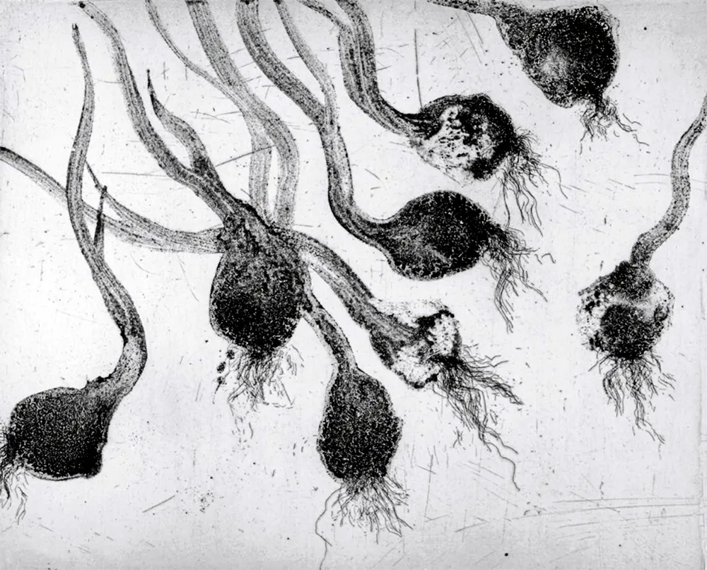 Aguafuerte Y Aguatinta Barcelo - Lanzarote 24