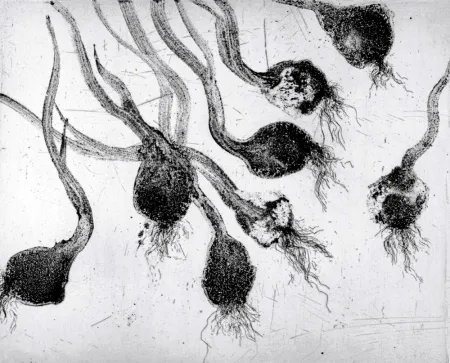 Aguafuerte Y Aguatinta Barcelo - Lanzarote 24