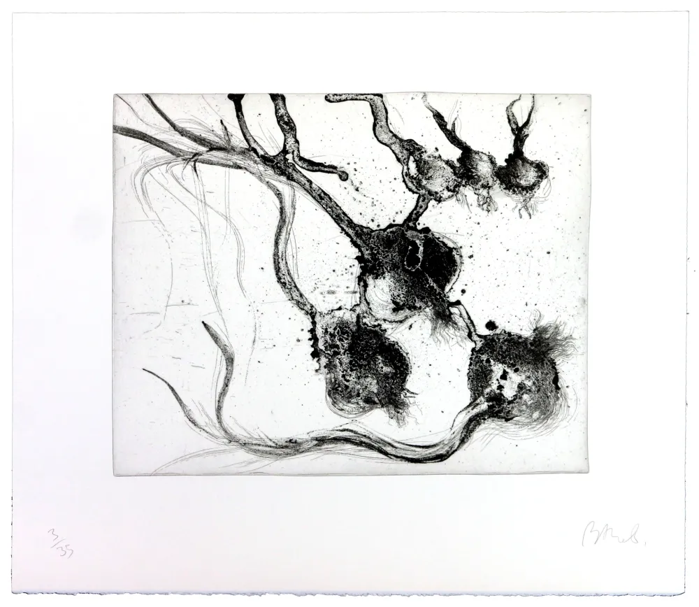 Grabado Barcelo - Lanzarote 25