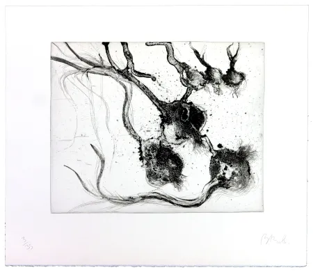 Grabado Barcelo - Lanzarote 25