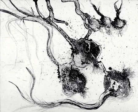 Grabado Barcelo - Lanzarote 25